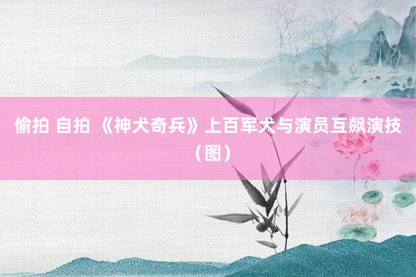 偷拍 自拍 《神犬奇兵》上百军犬与演员互飙演技（图）