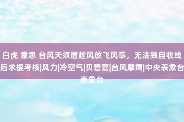 白虎 意思 台风天须眉趁风放飞风筝，无法独自收线后求援考核|风力|冷空气|贝碧嘉|台风摩羯|中央表象台
