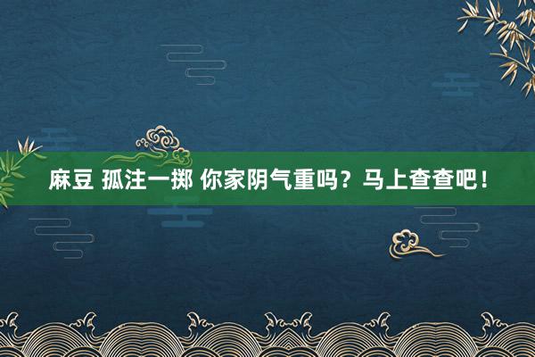 麻豆 孤注一掷 你家阴气重吗？马上查查吧！