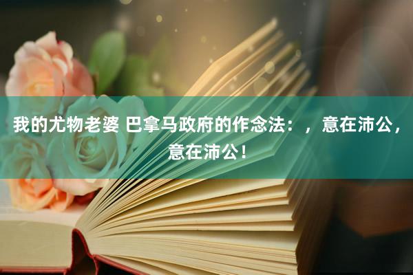 我的尤物老婆 巴拿马政府的作念法：，意在沛公，意在沛公！