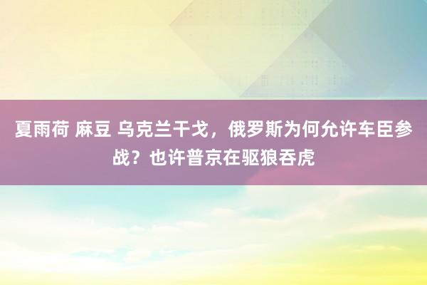 夏雨荷 麻豆 乌克兰干戈，俄罗斯为何允许车臣参战？也许普京在驱狼吞虎