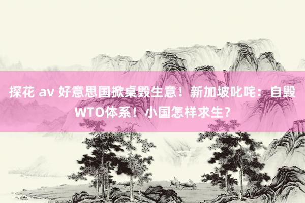 探花 av 好意思国掀桌毁生意！新加坡叱咤：自毁WTO体系！小国怎样求生？