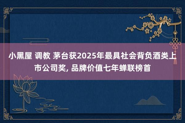 小黑屋 调教 茅台获2025年最具社会背负酒类上市公司奖, 品牌价值七年蝉联榜首