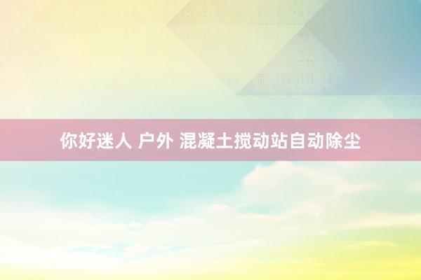 你好迷人 户外 混凝土搅动站自动除尘