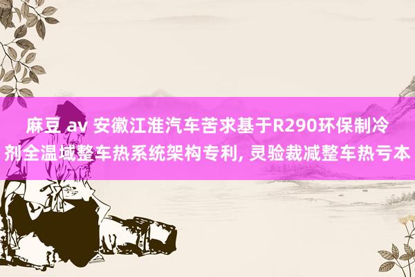 麻豆 av 安徽江淮汽车苦求基于R290环保制冷剂全温域整车热系统架构专利, 灵验裁减整车热亏本