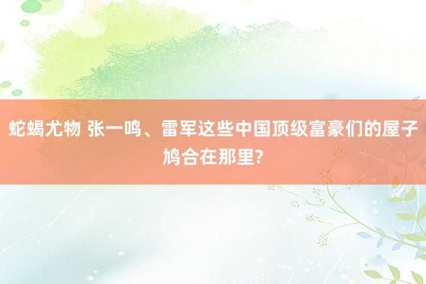 蛇蝎尤物 张一鸣、雷军这些中国顶级富豪们的屋子鸠合在那里?
