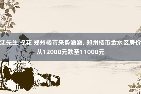 沈先生 探花 郑州楼市来势汹汹, 郑州楼市金水区房价从12000元跌至11000元