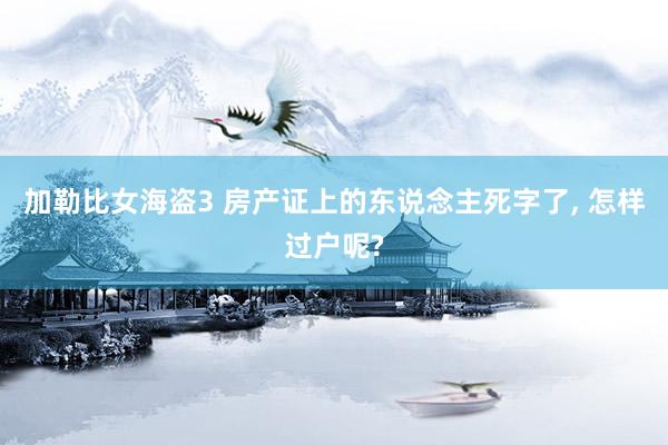 加勒比女海盗3 房产证上的东说念主死字了, 怎样过户呢?