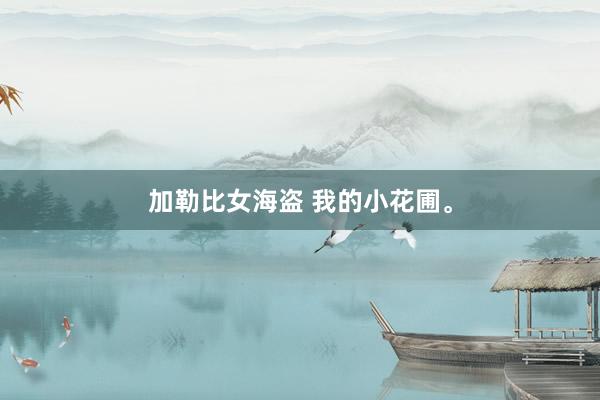 加勒比女海盗 我的小花圃。