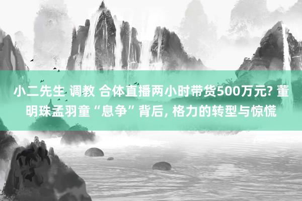 小二先生 调教 合体直播两小时带货500万元? 董明珠孟羽童“息争”背后, 格力的转型与惊慌