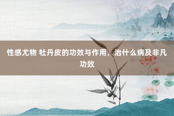 性感尤物 牡丹皮的功效与作用，治什么病及非凡功效
