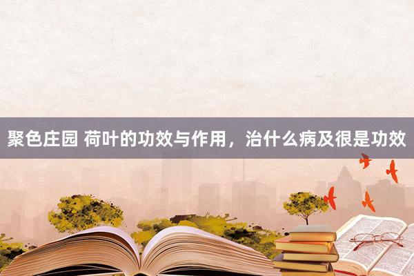 聚色庄园 荷叶的功效与作用，治什么病及很是功效