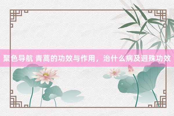 聚色导航 青蒿的功效与作用，治什么病及迥殊功效