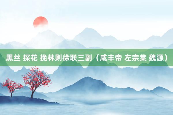 黑丝 探花 挽林则徐联三副（咸丰帝 左宗棠 魏源）