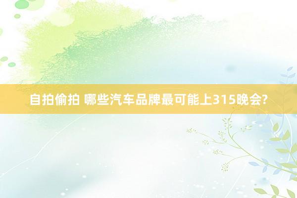 自拍偷拍 哪些汽车品牌最可能上315晚会?