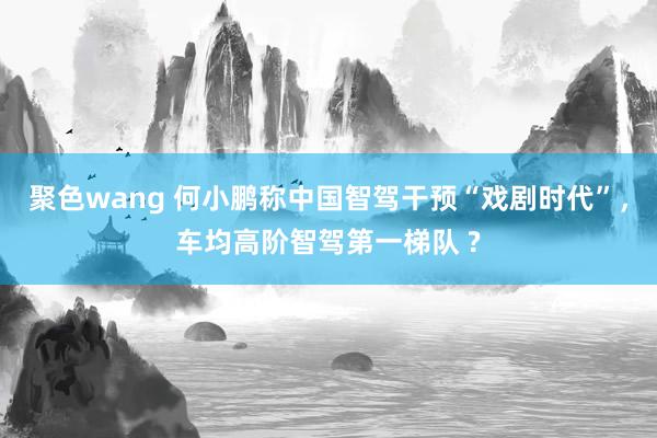 聚色wang 何小鹏称中国智驾干预“戏剧时代”，车均高阶智驾第一梯队 ?
