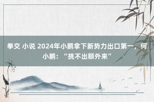 拳交 小说 2024年小鹏拿下新势力出口第一，何小鹏：“挑不出额外来”