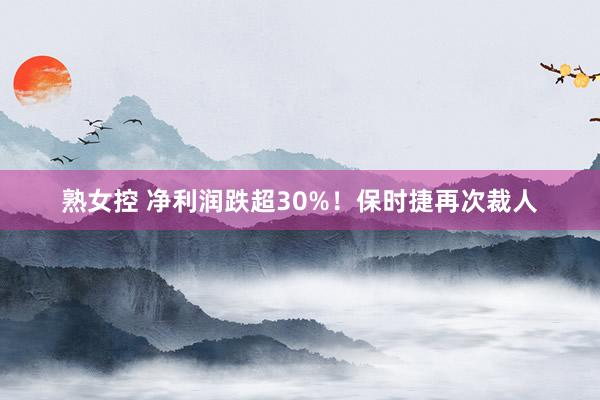 熟女控 净利润跌超30%！保时捷再次裁人