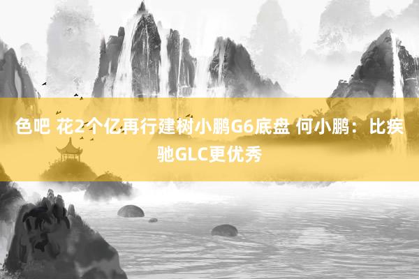 色吧 花2个亿再行建树小鹏G6底盘 何小鹏：比疾驰GLC更优秀