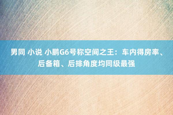 男同 小说 小鹏G6号称空间之王：车内得房率、后备箱、后排角度均同级最强