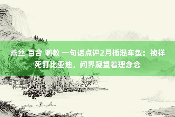 蕾丝 百合 调教 一句话点评2月插混车型：祯祥死盯比亚迪，问界凝望着理念念
