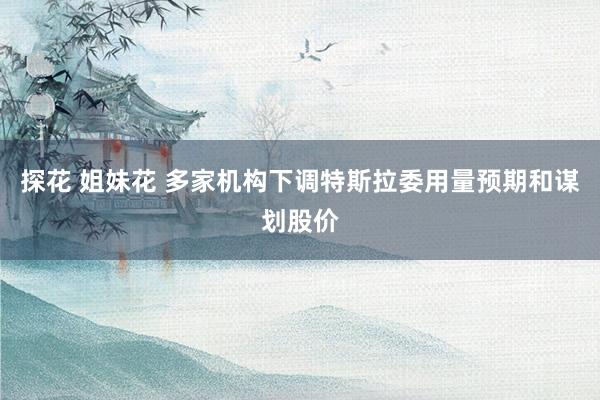 探花 姐妹花 多家机构下调特斯拉委用量预期和谋划股价